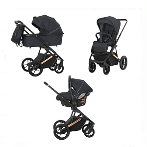 Детская коляска Carrello Sigma 3 в 1