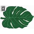 зеленый C-MONSTERA