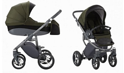 Детская коляска Bebetto Holland 2 в 1 Цвет рамы Graphite