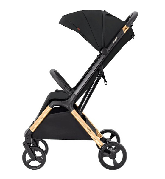 Детская прогулочная коляска Carrello Cross CRL-5523 фото 1