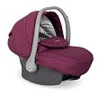 Antari 03 Purple