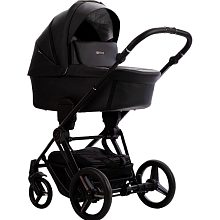 Детская коляска Bebetto Monti Pro 2 в 1