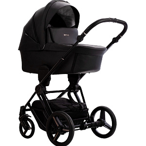 Детская коляска Bebetto Monti Pro 2 в 1