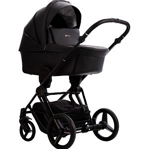 Детская коляска Bebetto Monti Pro 2 в 1