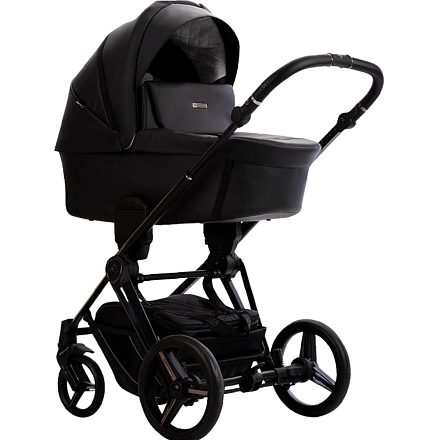 Детская коляска Bebetto Monti Pro 2 в 1