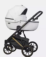 Детская коляска Riko Basic Montana Premium Gold 2 в 1