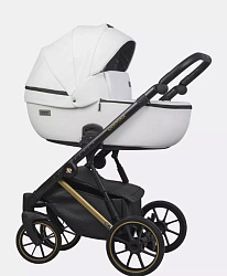 Детская коляска Riko Basic Montana Premium Gold 2 в 1
