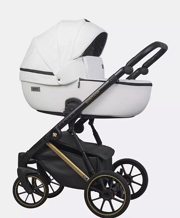 Детская коляска Riko Basic Montana Premium Gold 2 в 1