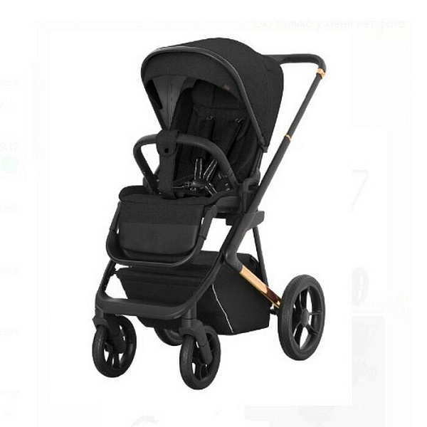 Детская коляска Carrello Sigma CRL-6509 2 в 1 фото 1