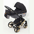 Детская коляска Ray Ultra Gold 2 в 1 (33 черная кожа-серебристый
						
					) — Фото