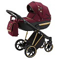 Детская коляска Bebe-Mobile Lucia Special Edition 3 в 1 (BL-102
						
					) — Фото