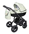 03 Kiwi Ecco