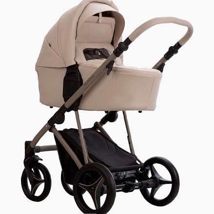 Детская коляска Bebetto Pelpasso Pro 2 в 1