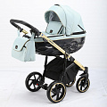 Детская коляска Bebe-mobile Castello Pro Special Edition 2 в 1 (BCP-102
						
					) — Фото