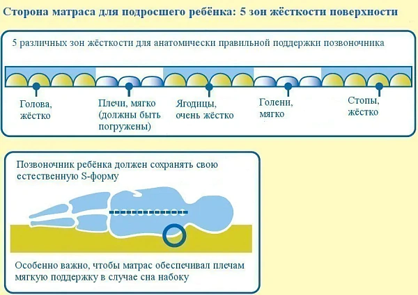 Анатомический дышащий матрас Aro Artlaender Non Plus Ultra Kba фото 2