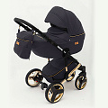 Детская коляска Ray Ultra Gold 2 в 1 (29 черная ткань
						
					) — Фото