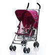 Festival Fuchsia WSE01042