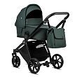 1352240 Pacific Green