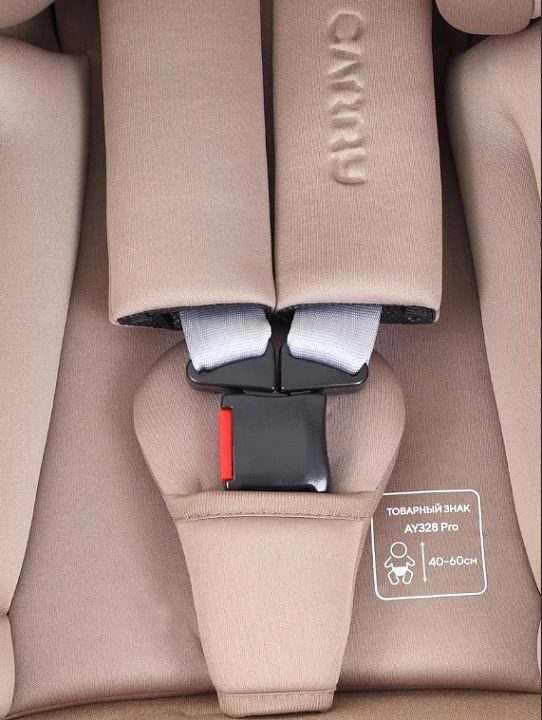 Детское автокресло Rant Carry Active Line — как выглядит в жизни