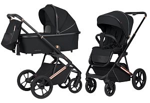 Детская коляска Carrello Sigma CRL-6509 2 в 1