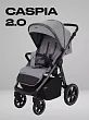 RA100 Grey