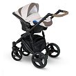 ANE-6