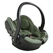 Forest Melange 560010