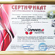 Детская коляска Camarelo Sirion Ecco 3 в 1, эко-кожа фото 9