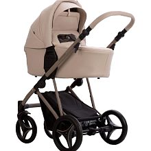 Детская коляска Bebetto Pelpasso Pro 2 в 1