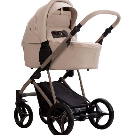 Детская коляска Bebetto Pelpasso Pro 2 в 1