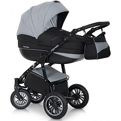 Детская коляска Expander Mondo Black 2 в 1