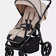 Детская прогулочная коляска Rant Caspia 2.0 фото 3