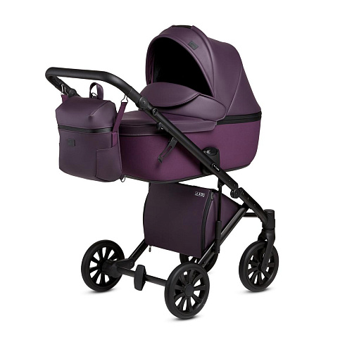 Детская коляска Anex e/type 2 в 1 Детская коляска Anex e/type 2 в 1 - Фото