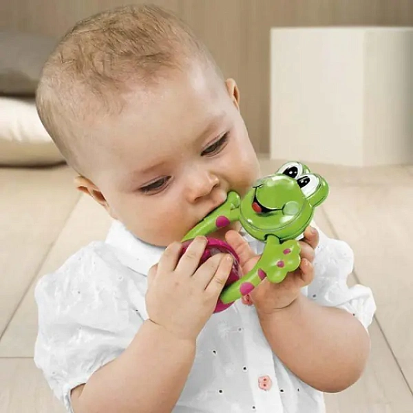 Развивающая игрушка Chicco Чико Лягушка  71697 фото 1