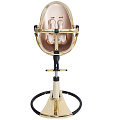 Стульчик для кормления Bloom Fresco Chrome GOLD + comfort set (Желтое золото/золотая вставка 
						
					) — Фото