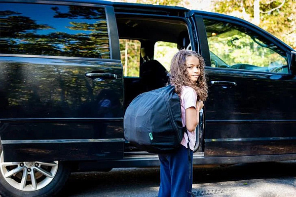 Детское автокресло Mifold Hifold фото 4