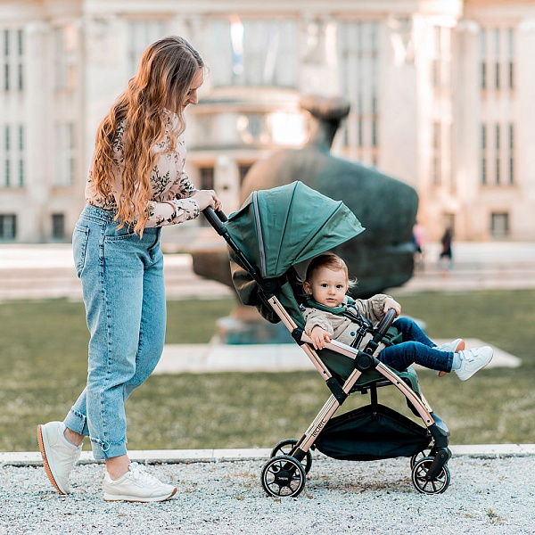 Детская прогулочная коляска Leclerc Influencer на черной раме фото 8
