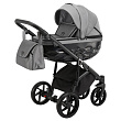 Детская коляска BeBe-Mobile Castello Pro 2 в 1 - Фото