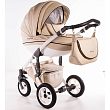 01BG beige