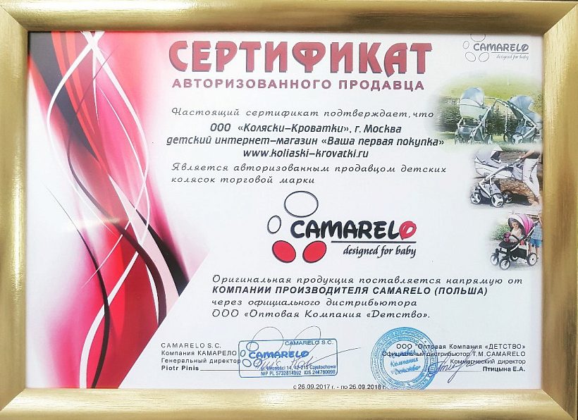 Детская коляска Camarelo Carera New 2 в 1 — как выглядит в жизни
