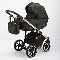 Детская коляска BeBe-Mobile Bolonia Special Edition 3 в 1 (BN-103
						
					) — Фото