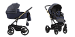Si 03 Gold