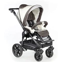 Детская коляска Teutonia BeYou V3 Heritage Edition 2 в 1