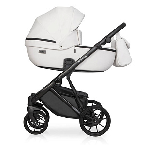 Детская коляска Riko Basic Montana Ecco 2 в 1