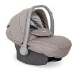 Antari 06 Grey fox