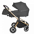 Детская коляска Carello Epica CRL-8510 2 в 1 - Фото