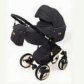 Детская коляска Ray Ultra Gold 2 в 1 (28 черная кожа
						
					) — Фото