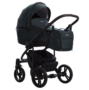 Детская коляска Bebetto Bresso Onyx 2 в 1