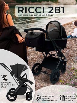 Детская коляска Sweet Baby Ricci Air 2 в 1