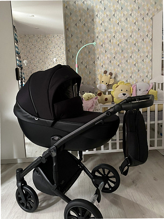 Фото к отзыву — Детская коляска Anex m/type 2 в 1